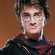 The End is Nigh: Harry Potter and The Deathly Hallows Part 1
