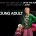 young-adult-wallpaper-01-420x336