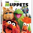 The Muppets DVD Review
