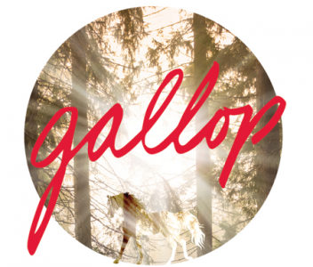 New Short Film – Gallop
