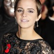 50 Shades of Grey not for Emma Watson?